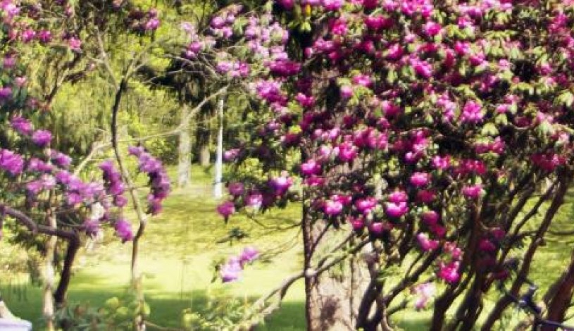 Lázeňský hotel Jirásek Konstantinovy Lázně